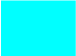 Aqua colored components are a conformable panel.