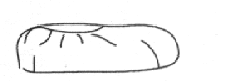 Shoe cover